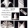 DIY Napkin Folding Guide